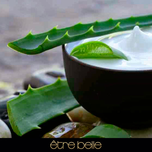 Aloe Vera, aliado perfecto para el verano