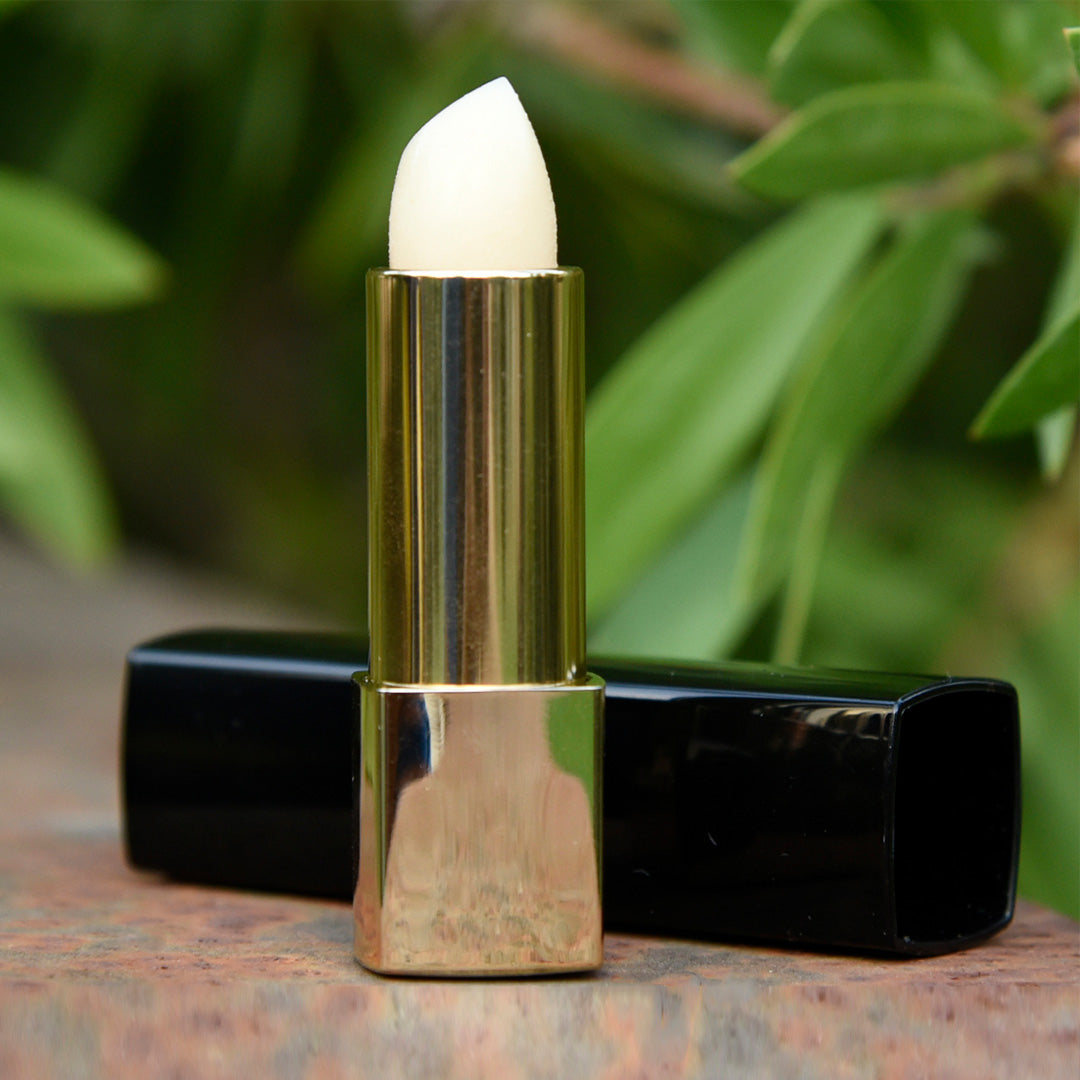 Lip Protector Booster